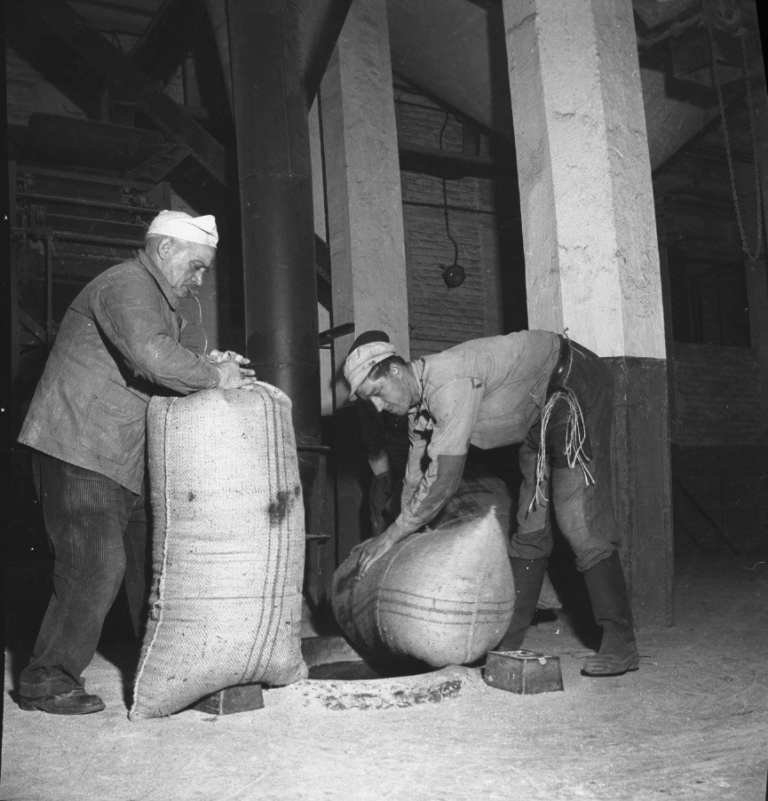 Sacs de blé au silo à grains de Dunkerque